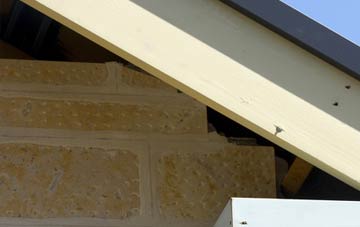 soffit repair Thorngrafton